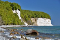 Rügener Kreidefelsen im Mai